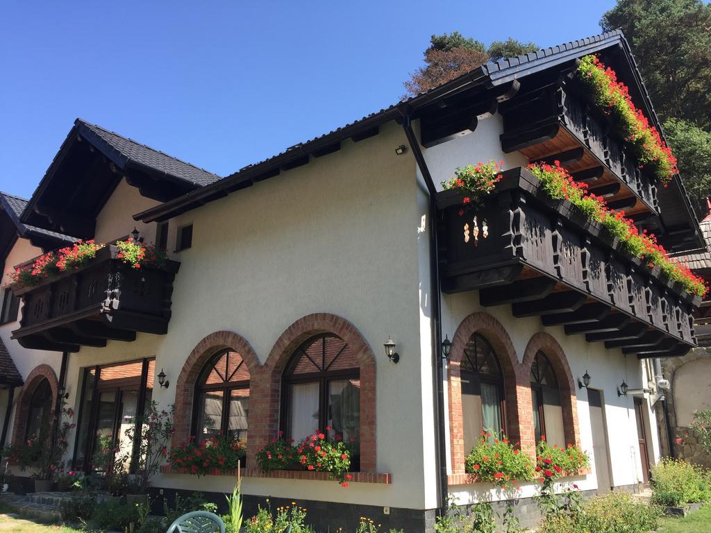 Casa Stefania Hotel Tălmaciu Exterior foto